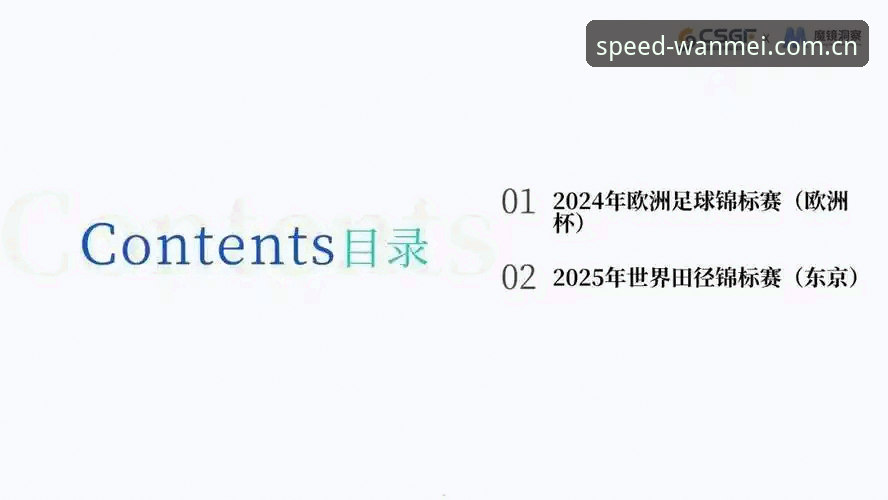 完美体育极速畅玩对比 资深球迷亲述:世界杯签证危机下的观赛破局之道——在完美体育在线洞察赛事新趋势